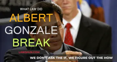 Albert Gonzalez: The Laws He Broke and Consequences