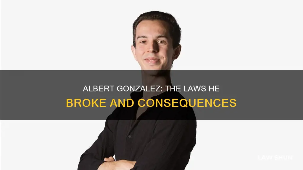 what law did albert gonzalez break