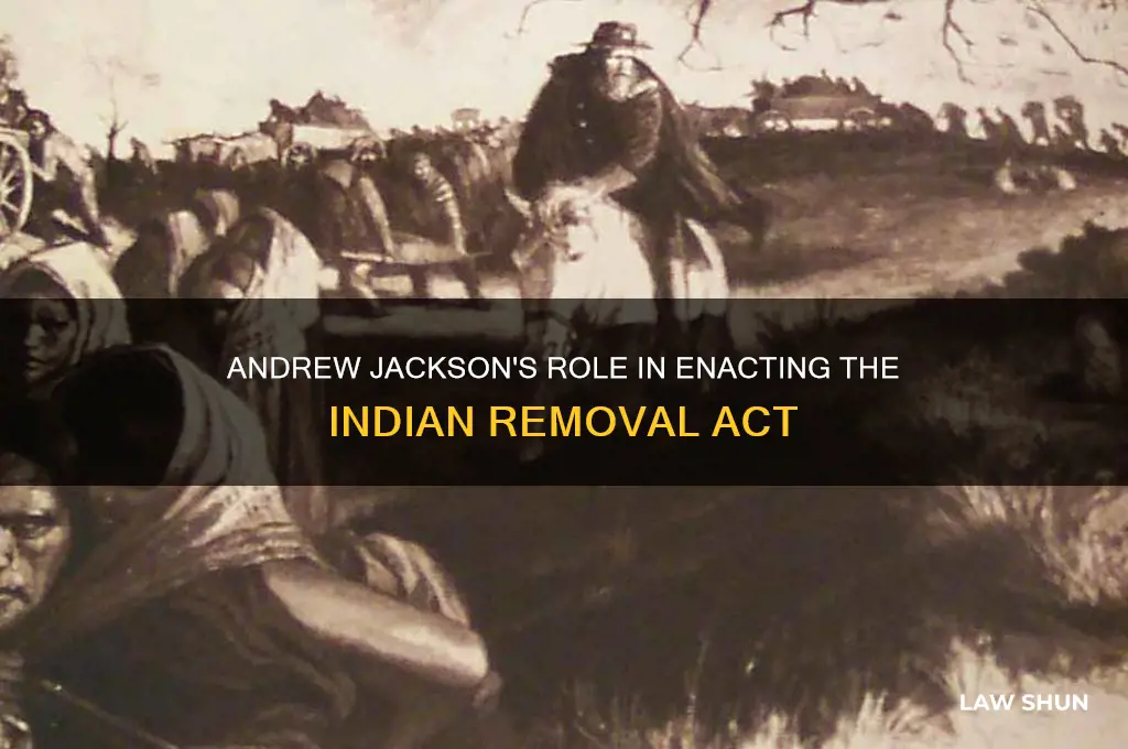 what law did andrew jackson isgn after trail or tears