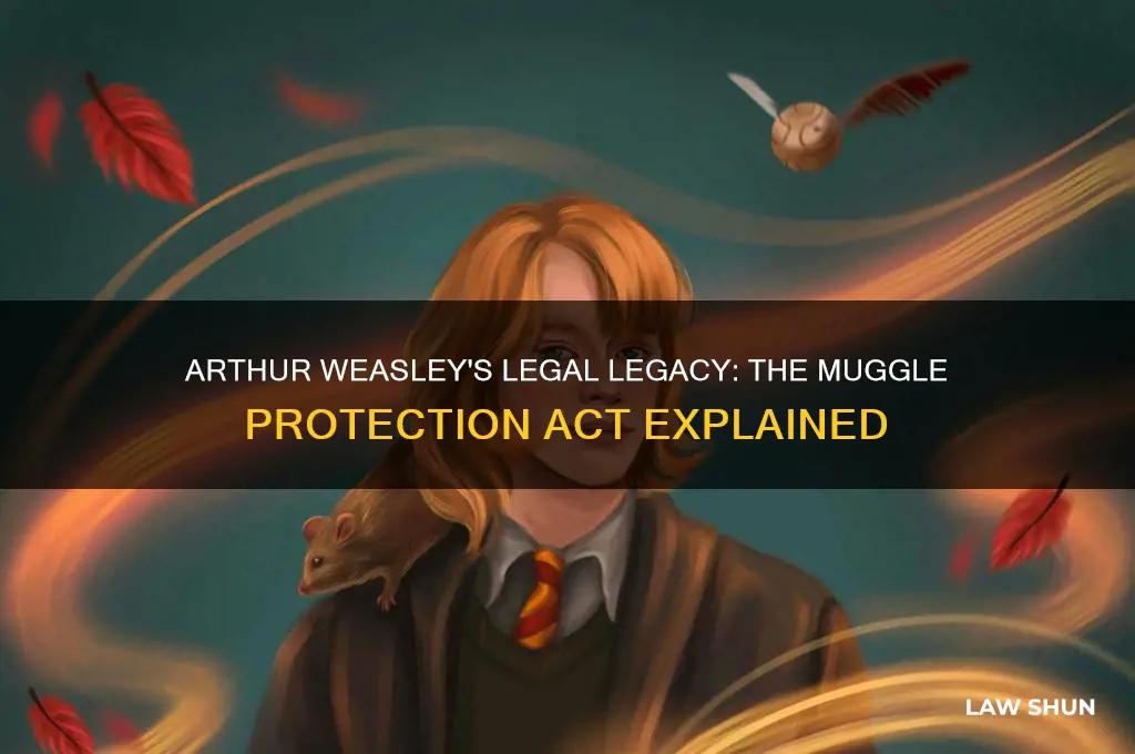 what law did arthur weasley write