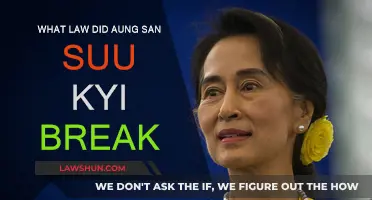 Suu Kyi's Legal Troubles: Which Laws Broken?