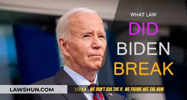 Biden's Legal Troubles: Which Laws Were Broken?