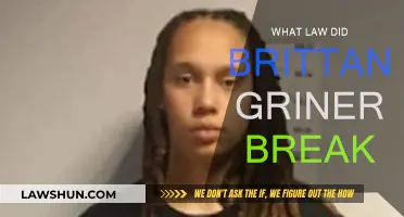 Brittany Griner's Legal Troubles: What Law Was Broken?