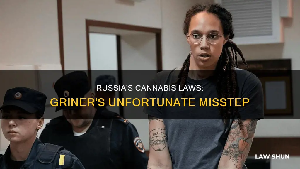 what law did brittney griner break in russia