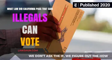 California's Controversial Voting Rights Law Explained