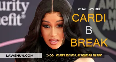 Cardi B's Legal Troubles: What Laws Did She Break?