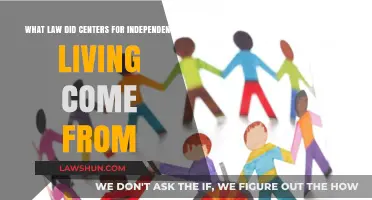 Origins of Centers for Independent Living: The Landmark Law Explained