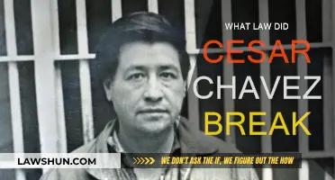 Cesar Chavez: Laws Broken in the Name of Justice