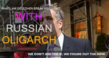 Cohen-Russian Oligarch Meeting: What Laws Were Broken?