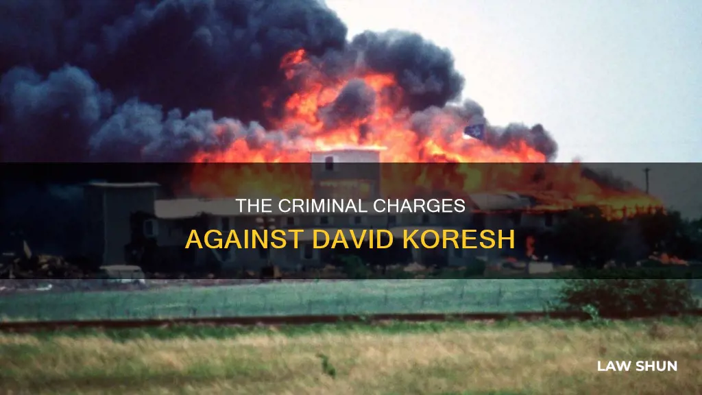 what law did david koresh break