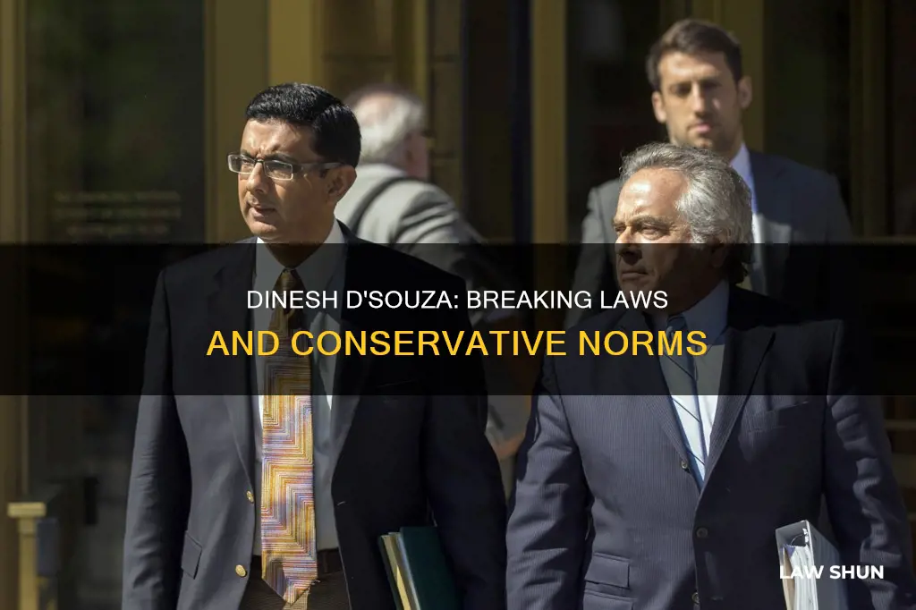 what law did dinesh d souza break