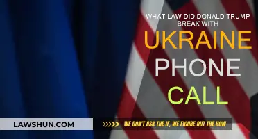 Trump's Ukraine Call: Legal or Illegal?