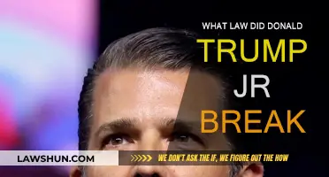 Trump Jr.'s Legal Troubles: Which Laws Were Broken?