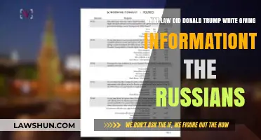Trump's Controversial Disclosure: Sharing Classified Information with Russia Explained