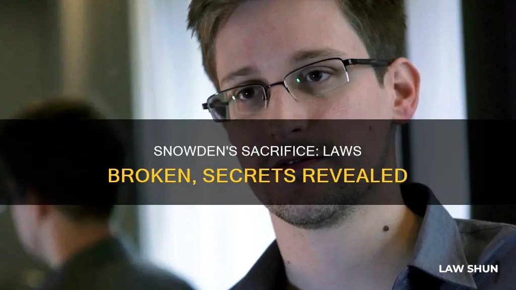 what law did edward snowden break