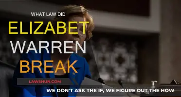 Elizabeth Warren's Legal Troubles: What Laws Were Broken?