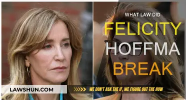 Felicity Hoffman's Legal Troubles: Breaking Which Law?