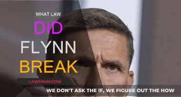 Flynn's Legal Troubles: What Law Was Broken?