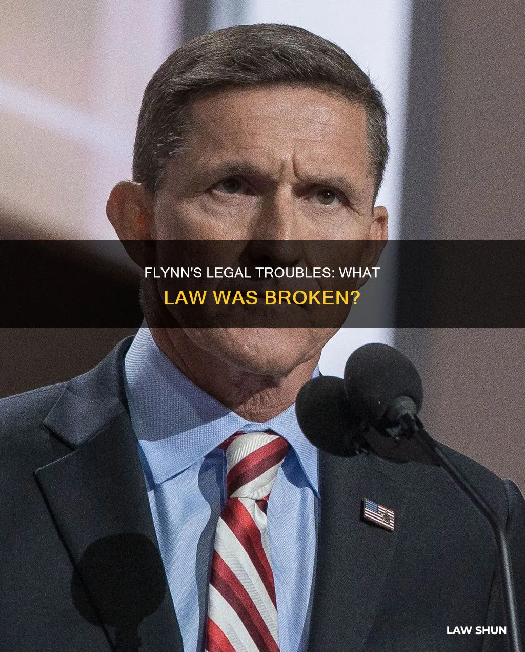 what law did flynn break