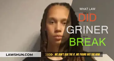 Griner's Arrest: Understanding Her Legal Predicament