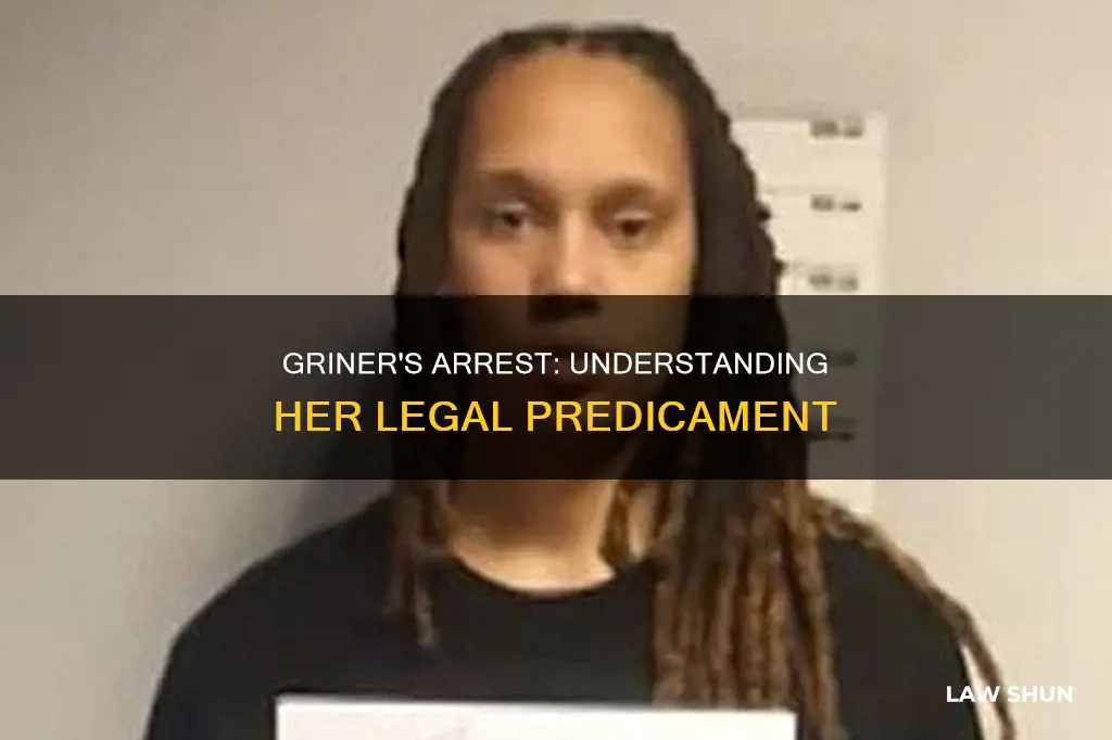 what law did griner break