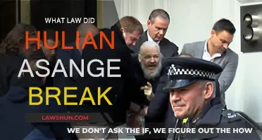 Julian Assange: Laws Broken and Legal Complexities