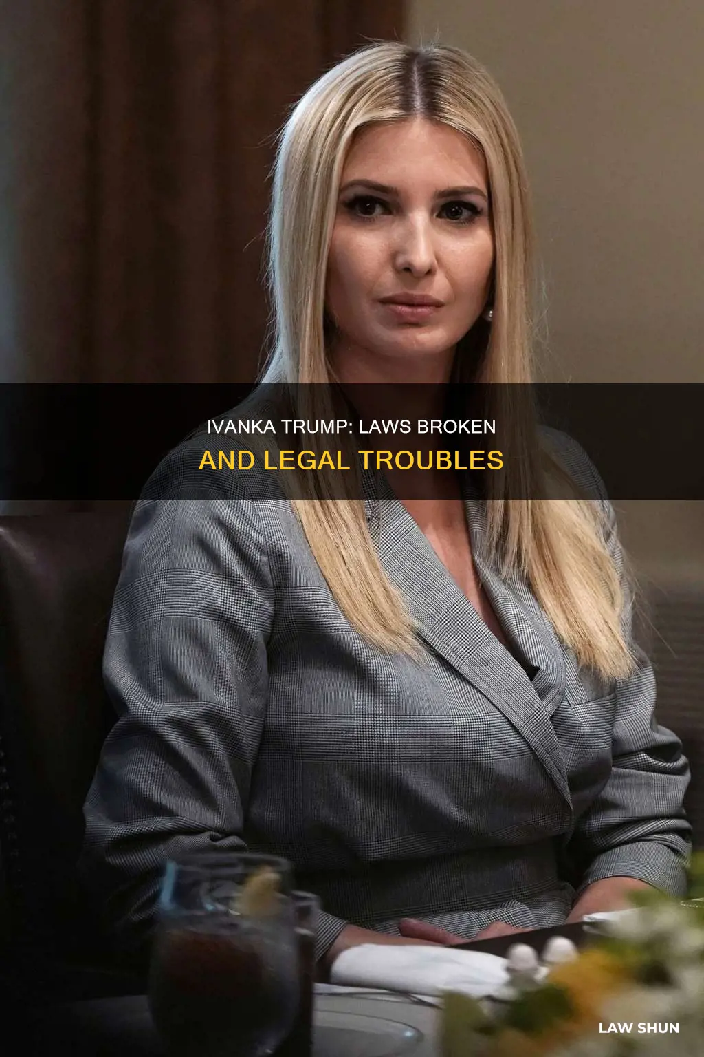 what law did ivanka break