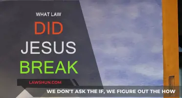 Jesus' Controversial Actions: Breaking Laws for a Higher Power