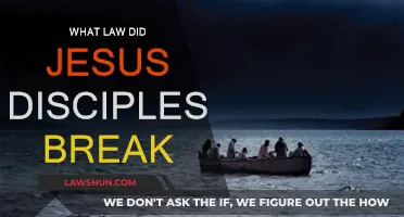 Jesus' Disciples: Breaking Laws and Changing History