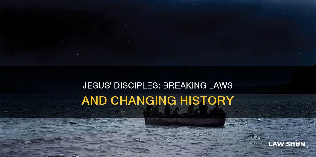 what law did jesus disciples break