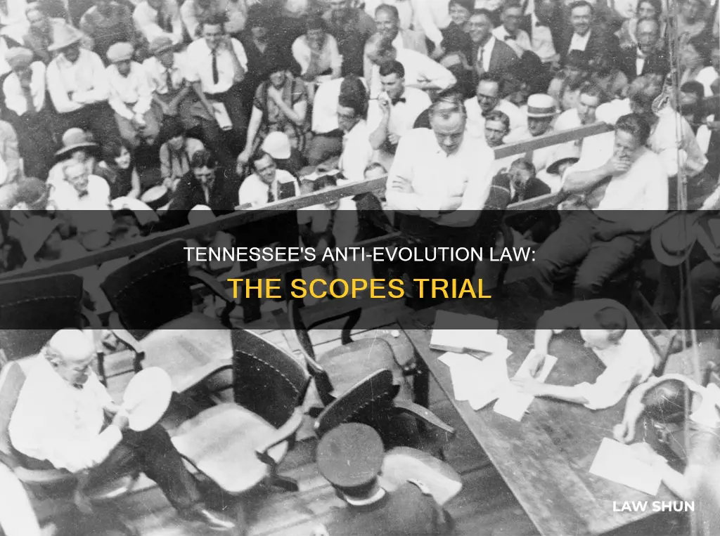 what law did john t scopes break in tennessee