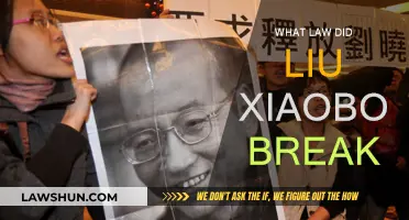 Liu Xiaobo's Lawbreaking: Understanding His Crime