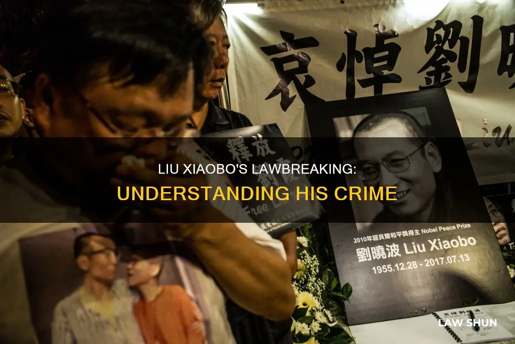 what law did liu xiaobo break