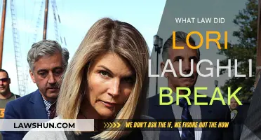 Lori Loughlin's Legal Troubles: Breaking What Law?