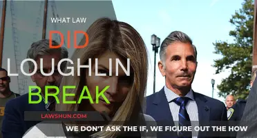 Loughlin's Legal Troubles: Understanding the Charges