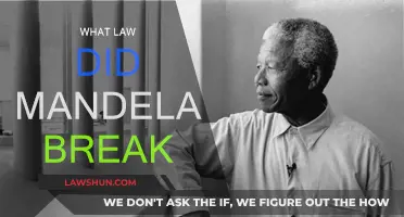 Mandela's Laws: Breaking Barriers for Freedom