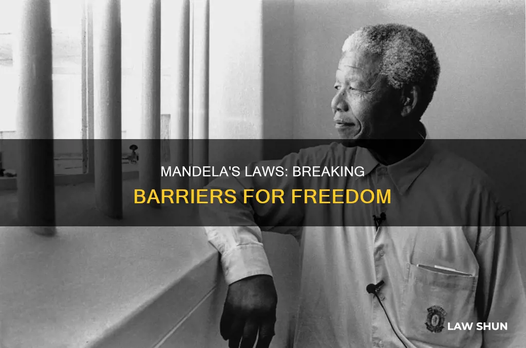 what law did mandela break