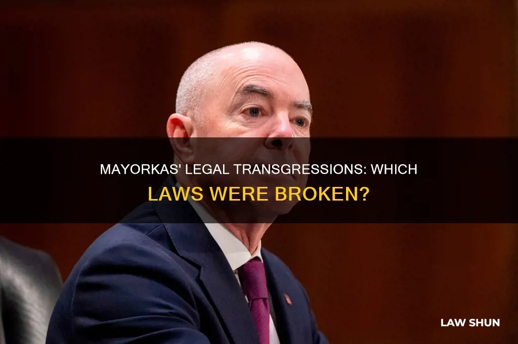 what law did mayorkas break