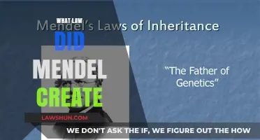Mendel's Laws: The Foundation of Modern Genetics