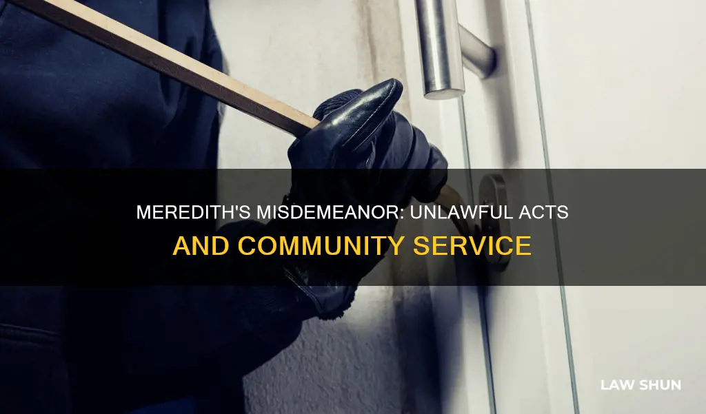 what law did meredith break to deserve community service