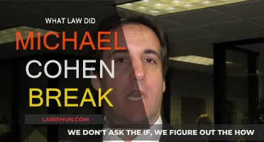 Michael Cohen's Legal Troubles: Breaking the Law