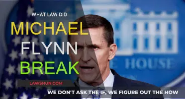 Michael Flynn: Legal Transgressions and Their Consequences