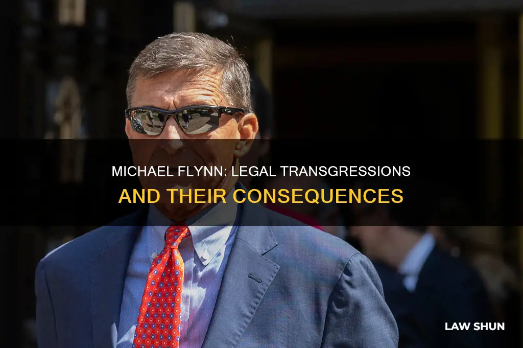 what law did michael flynn break