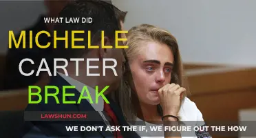 Michelle Carter: Texting, Teen Suicide, and Manslaughter Law