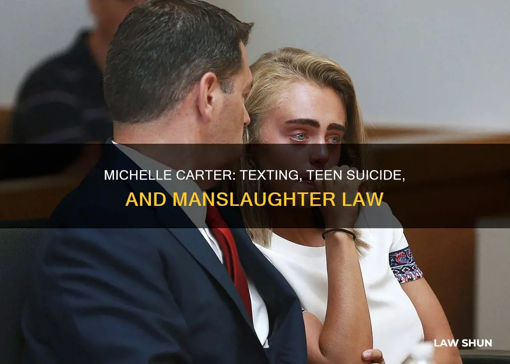 what law did michelle carter break