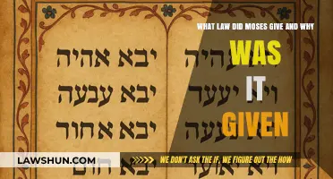 Moses' Law: Divine Commandments and Their Purpose Explained