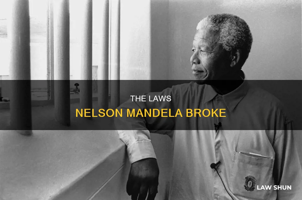 what law did nelson mandala break