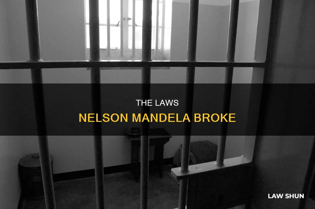 what law did nelson mandala break