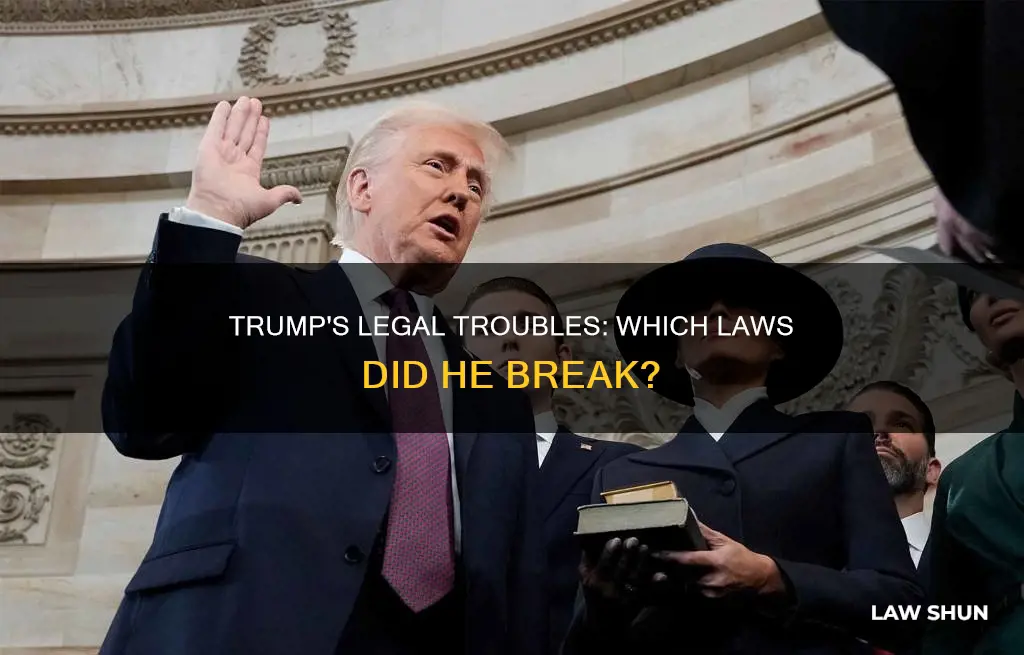 what law did president trump break