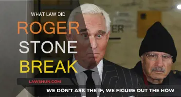 Roger Stone's Legal Troubles: What Laws Were Broken?